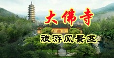 操操小穴好爽软件中国浙江-新昌大佛寺旅游风景区